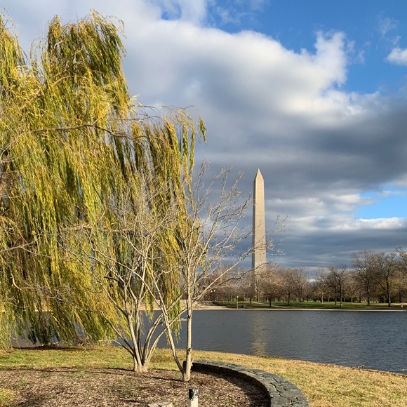 Meet your Posher, Katie - Picture 1 of 1